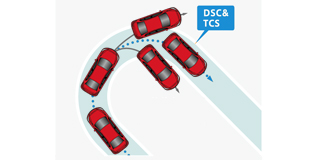 Dynamic Stability Control (DSC)