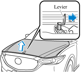 Capot de Voiture, Bande Lumineuse sous Le Capot Étanche pour Feux  d'inspection de Compartiment Moteur de Voiture Lampe de Travail avec  Marche/Arrêt