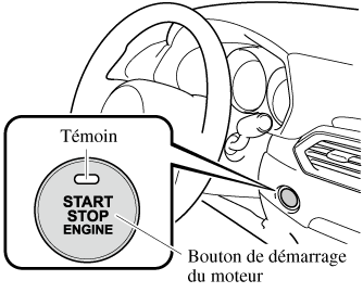 Arrêt et démarrage automatique du moteur (Stop & Start) - Lexique