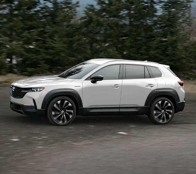 Un CX-50 hybride blanc roule sur une route bordée d’arbres. 