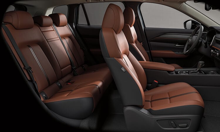 Interior side view showcasing terracotta leather seats. 