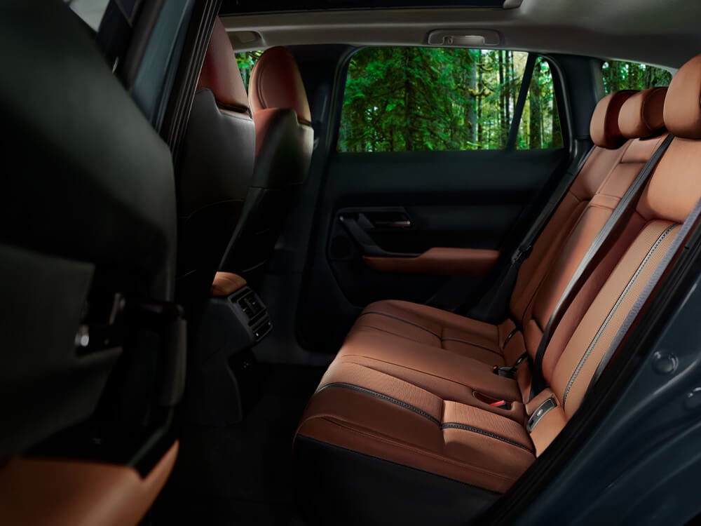 Side view of 2nd row seats showcasing Terracotta Leather interior.  