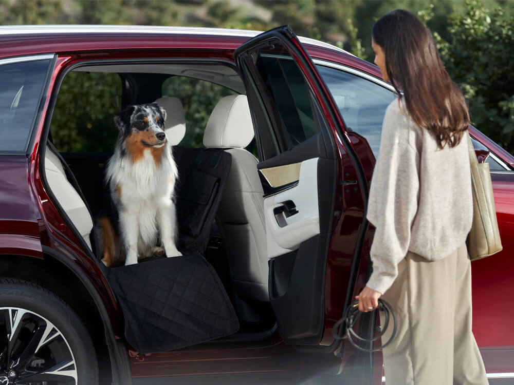 Artisan Red CX-90 parked, rear door is open and a dog is greeting their owner– a woman with leash in hand.