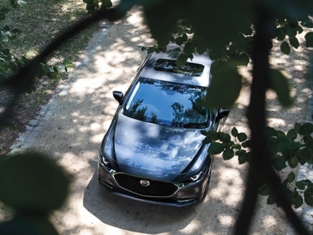 Depuis un arbre, vue en plongée d’une berline Mazda3 garée dans une entrée, partiellement masquée par des feuilles floues au premier plan. 